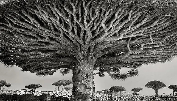 爱pia戏(戏鲸),pia戏剧本网,广播剧,剧情歌,cv配音,配音秀 - 戏鲸app