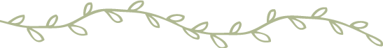 未知.png