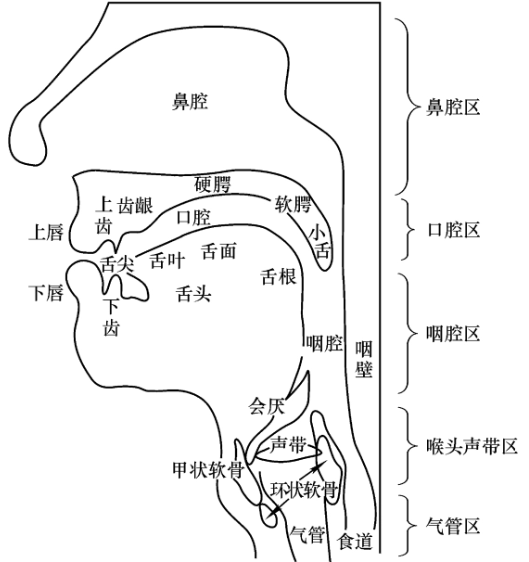 口肌操帮助提高言语训练效果