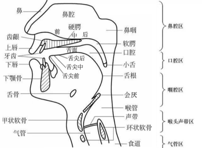 【移动城堡】有声练习本 - 爱Pia戏网,戏鲸App,Pia戏剧本