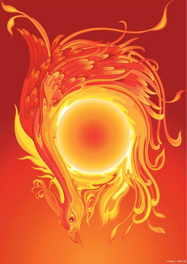 《金乌》特优声